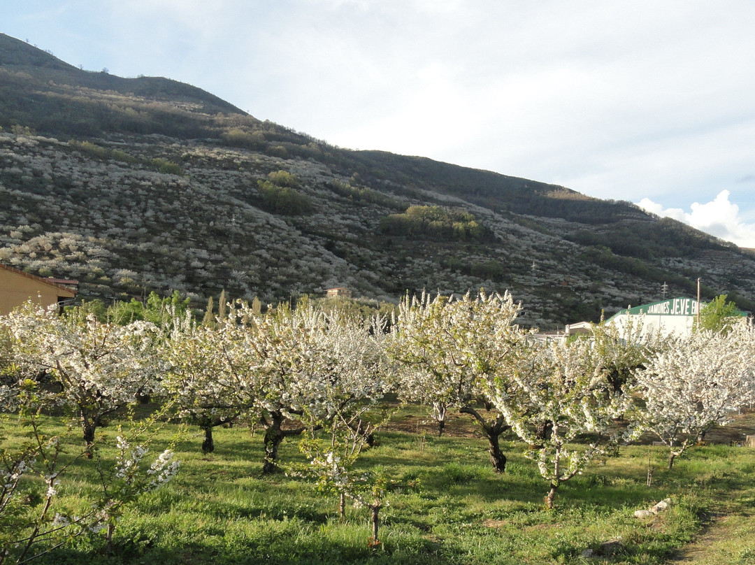 Hotel Los Arenales主图