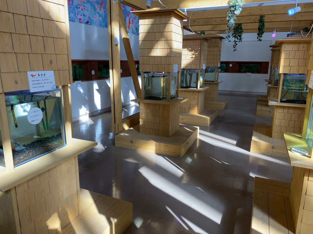 Kingyoto Koino Satohiroba-长洲町必去景点