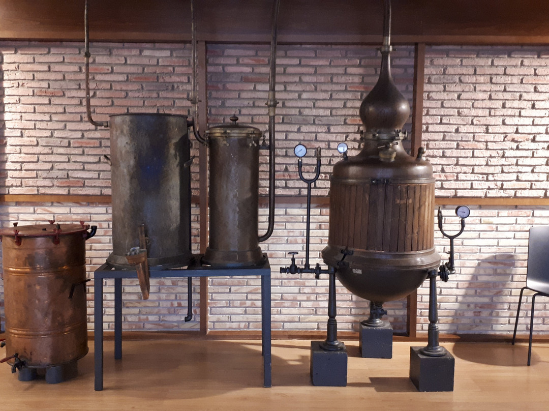 Destileria Pacharan Zoco-Dicastillo必去景点