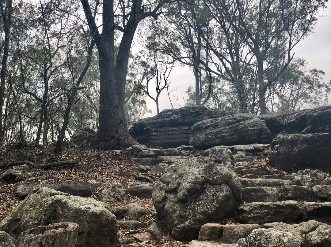 Springwood Conservation Park景点图片
