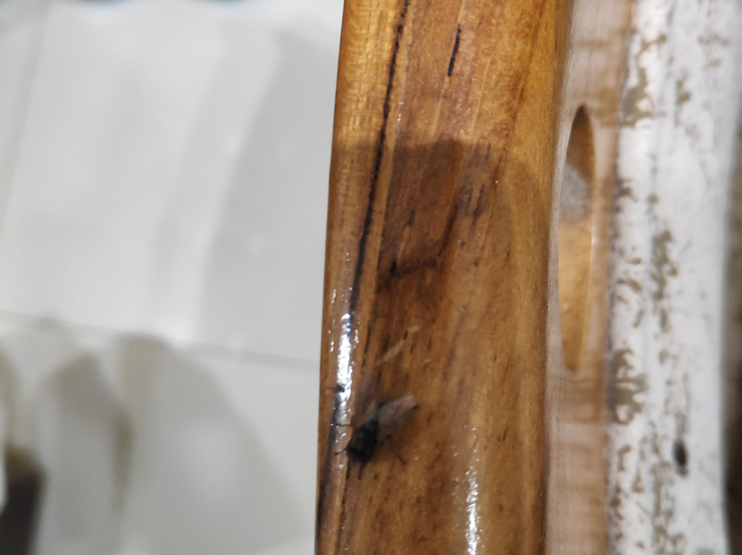 The English Garden主图