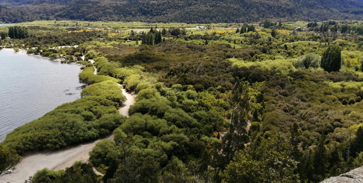 Parrilla Puente Carretero