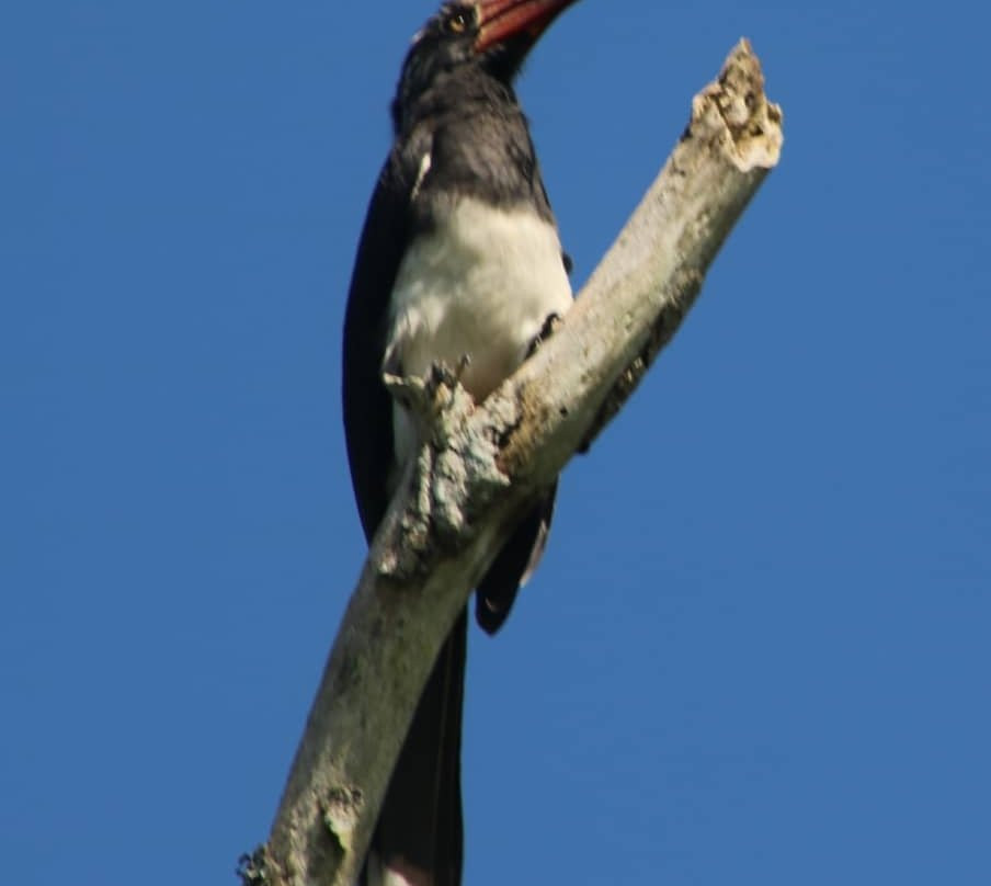 Kamwenge旅游攻略图片