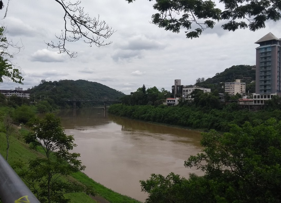 Blumenau City Hall景点图片