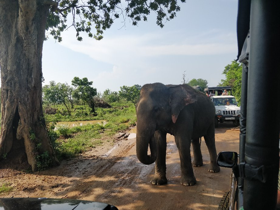 Finecare Tours Pvt Ltd-尼甘布必去景点