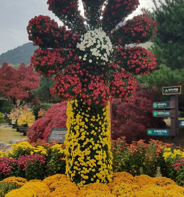 Daegu Arboretum-大邱必去景点