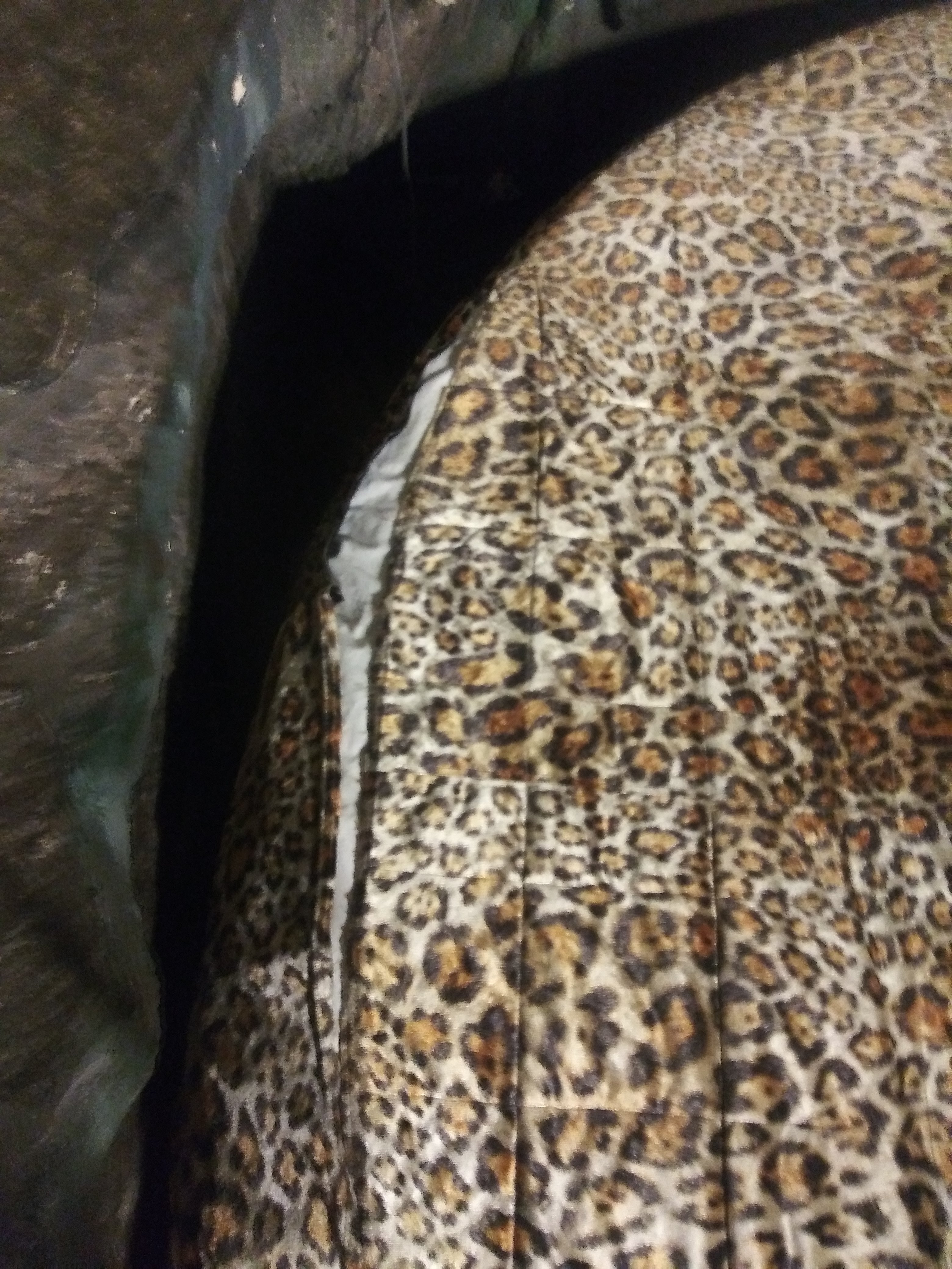 Americas Best Value Inn & Suites Joshua Tree National Park-portrait