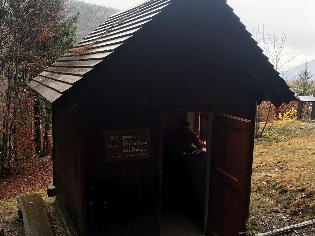 Riserva Naturale Boschi del Giovetto di Palline-Borno必去景点