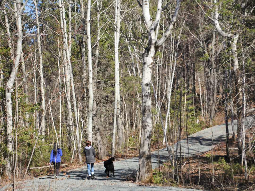 Kivi Park-Sudbury必去景点