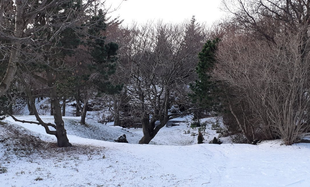 Hellisgerdi Park-哈夫纳夫约杜尔必去景点