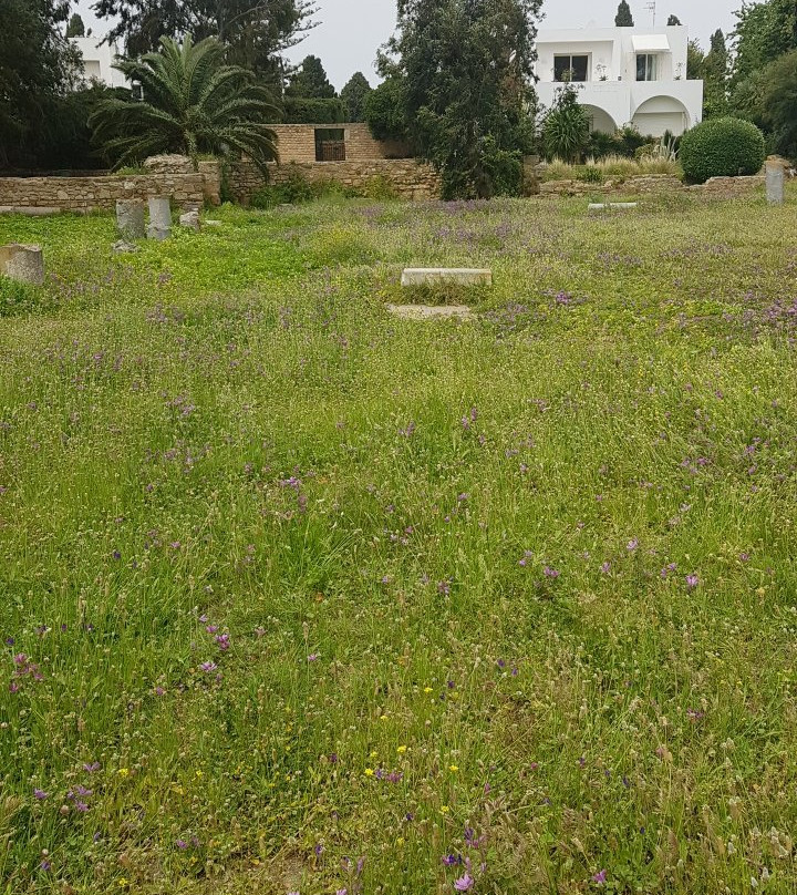 La Basilique De Saint Cyprien景点图片