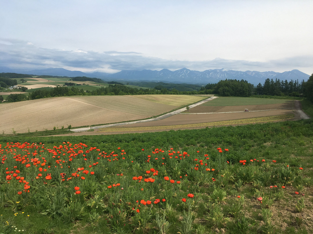 Saiko no sato Sasaki Farm景点图片