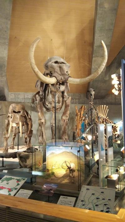 Gunma Natural Museum景点图片