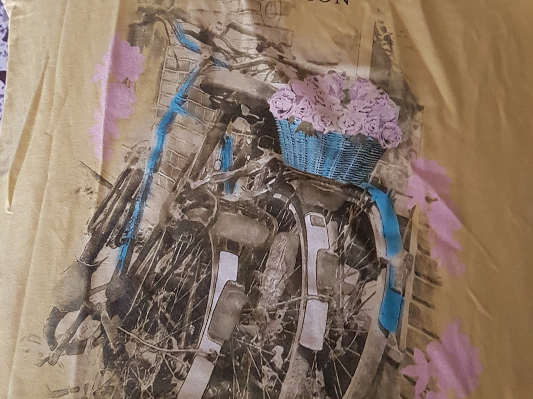 dada stray store景点图片