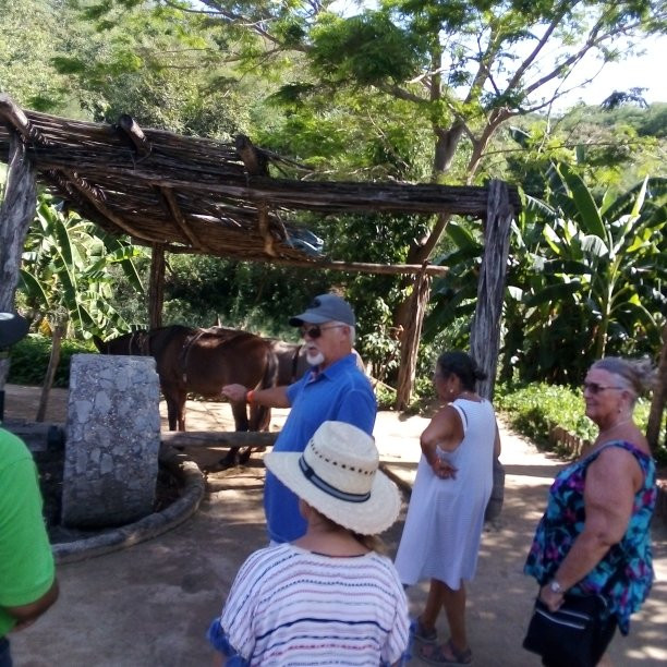 Mazatlan Tours-马萨特兰必去景点