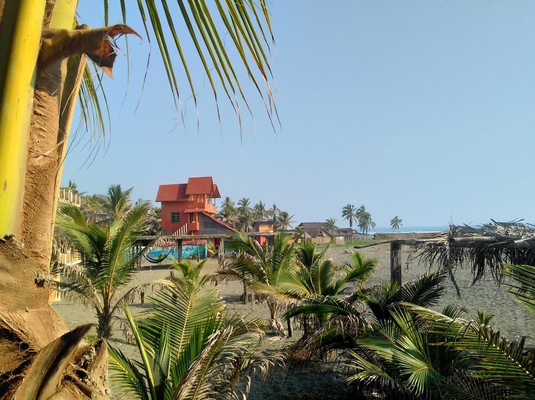 Nexpa Beach景点图片
