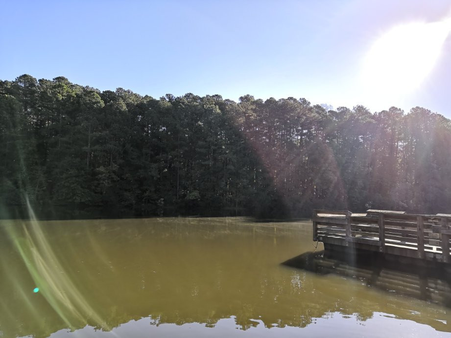 Apex Community Park景点图片
