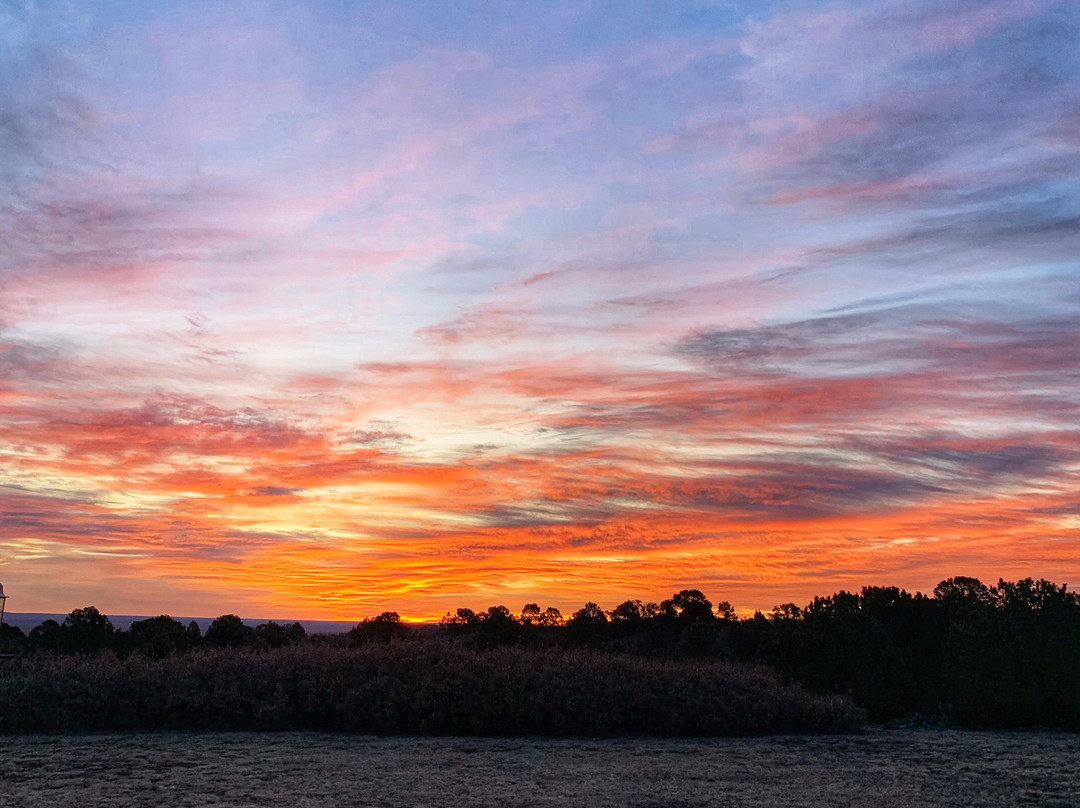 Casa del Gavilan Historic Inn主图