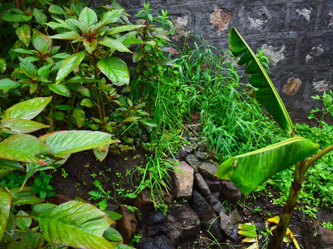 Lasta Garden Retreat-拉利贝拉必去景点