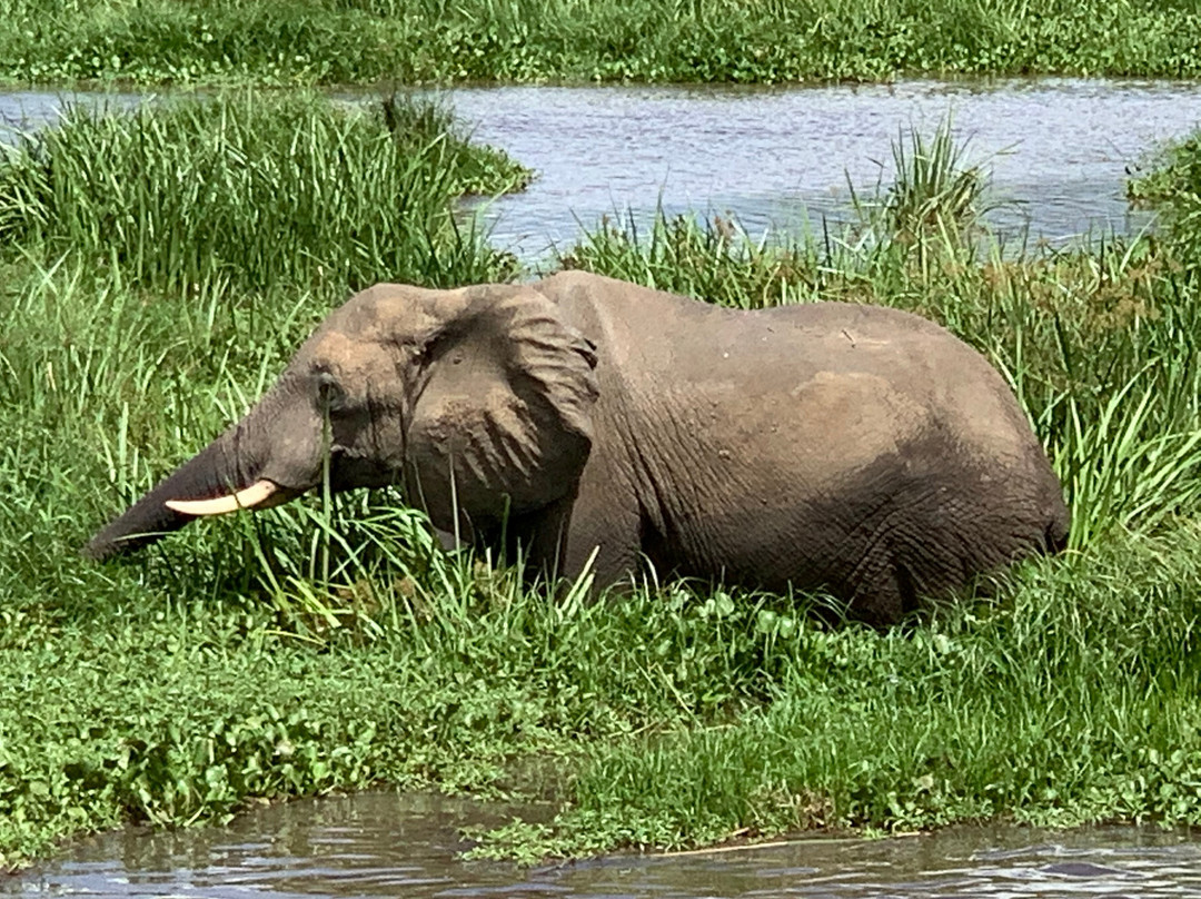 Kabiza Wilderness Safaris-坎帕拉必去景点