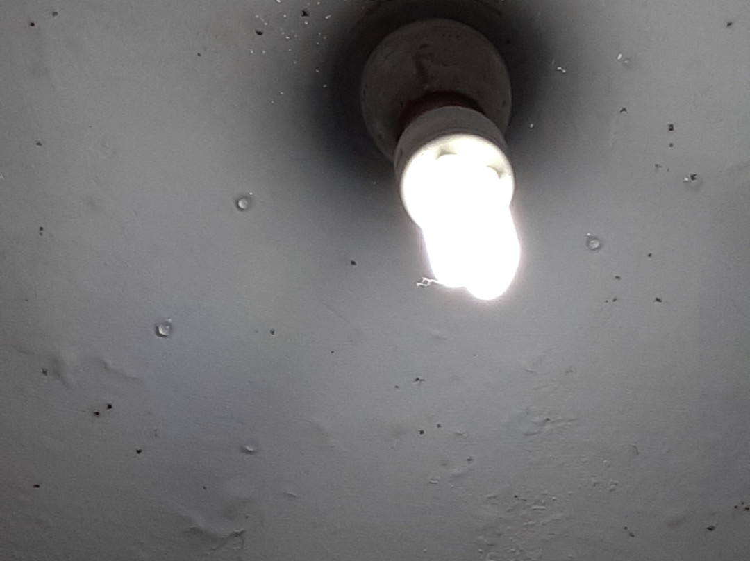 Mount 'n' Mist主图