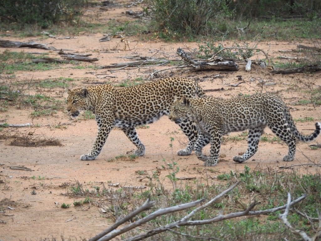 Photo Safari Experiences-玛洛斯帕克必去景点