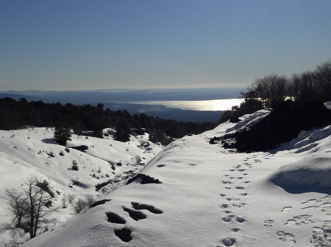 Parque Nacional Villarrica-普孔必去景点