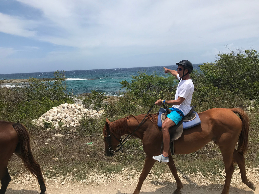 JusTours Jamaica - Horseback Ride 'n' Swim Tour景点图片