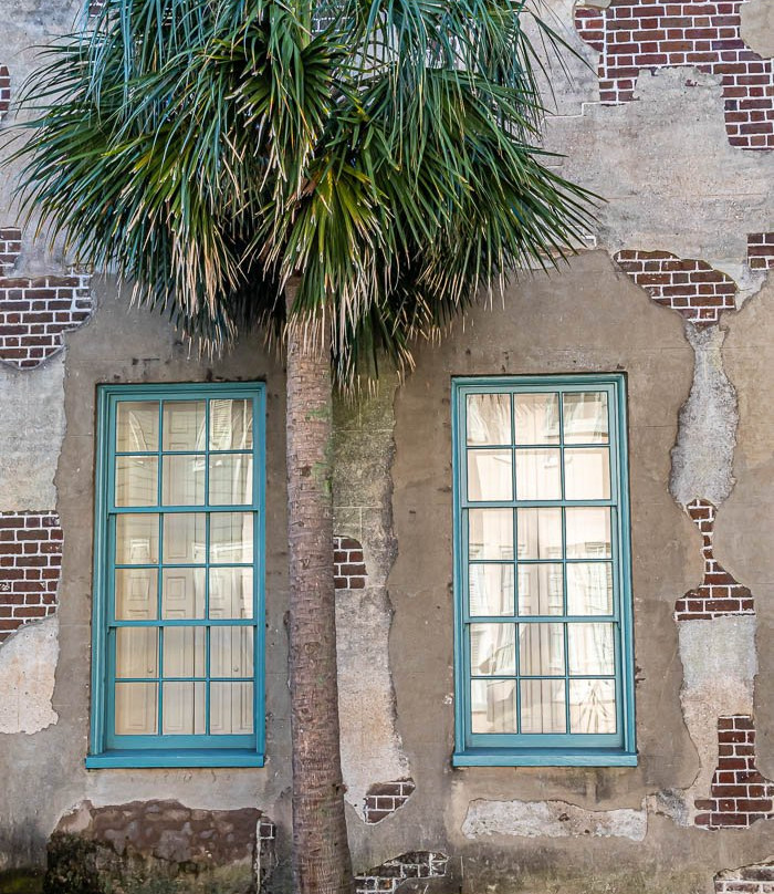 Charleston Photography Tours景点图片