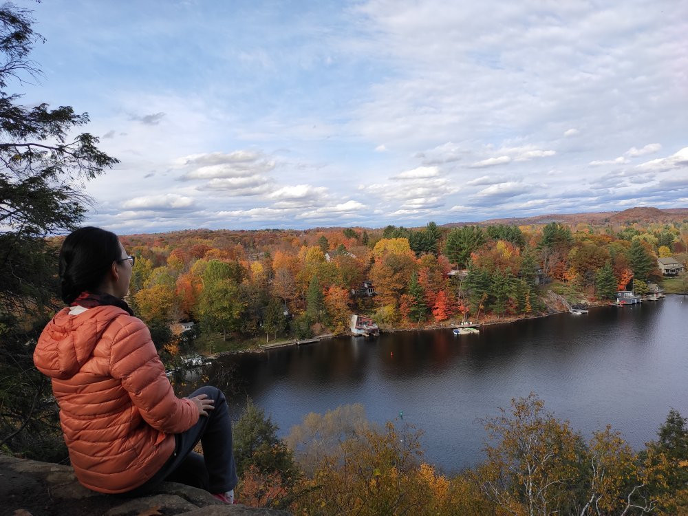 Lions Lookout-亨茨维尔必去景点