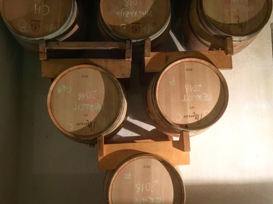 Istria Wine Tours-罗维尼必去景点