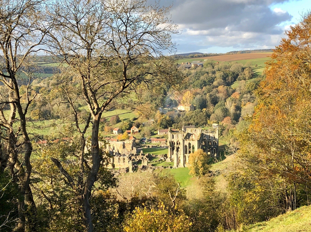 Rievaulx Terrace and Temples景点图片