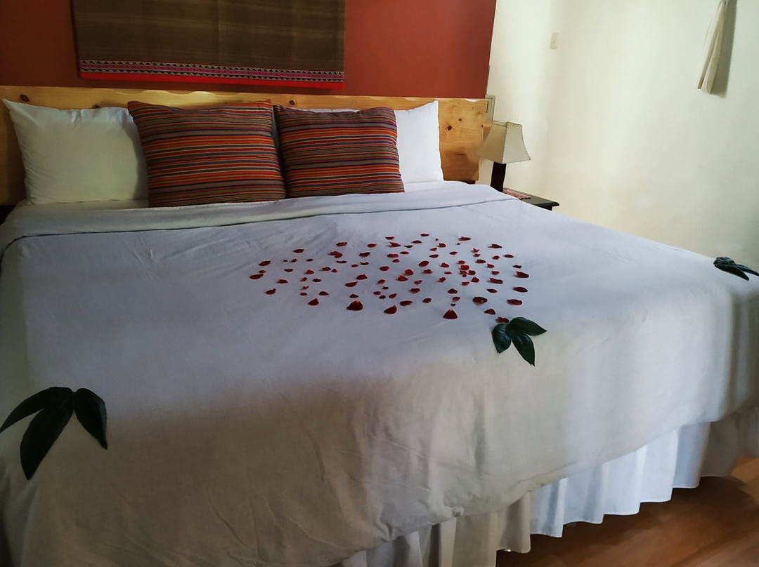 Miskiwasi B & B主图