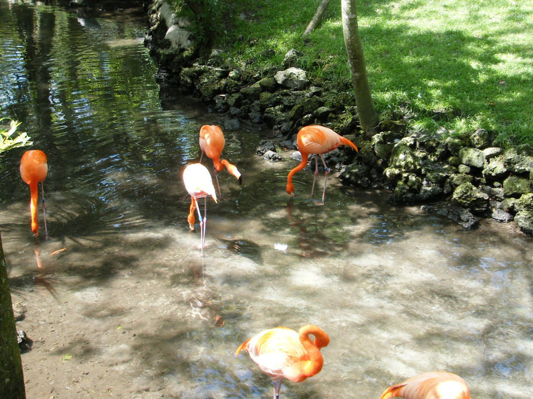 Cedar Keys National Wildlife Refuge景点图片