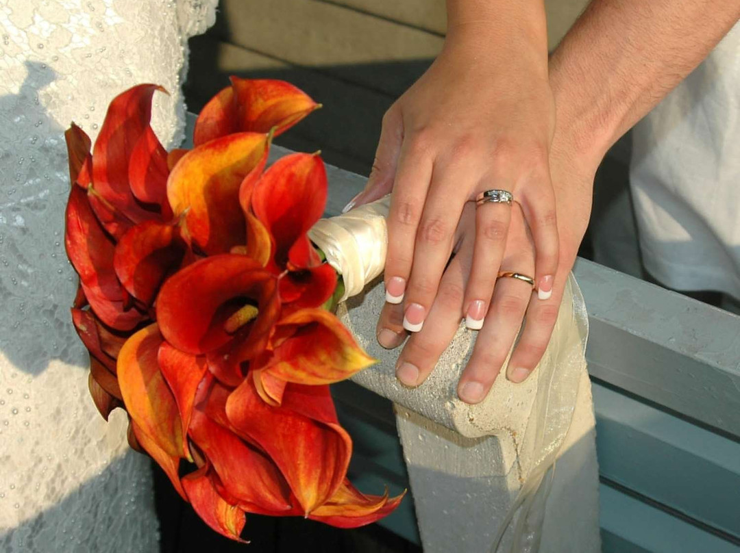 Homewood Suites by Hilton Columbus主图