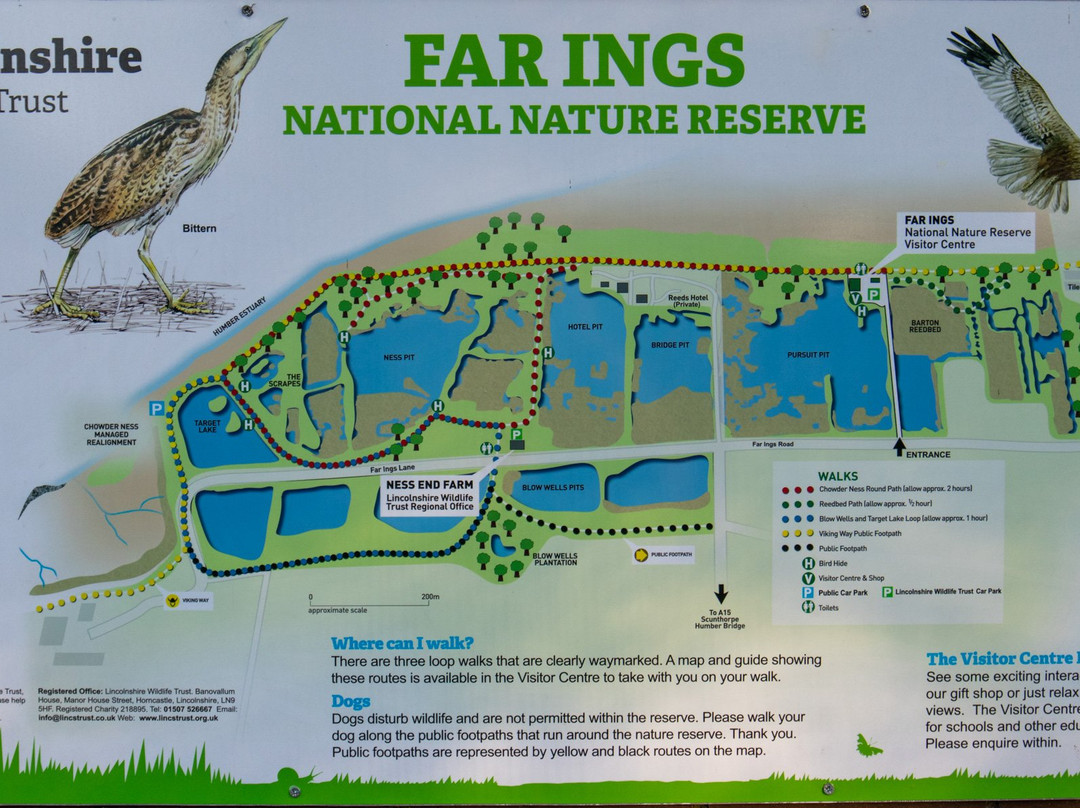 Far Ings Nature Reserve景点图片
