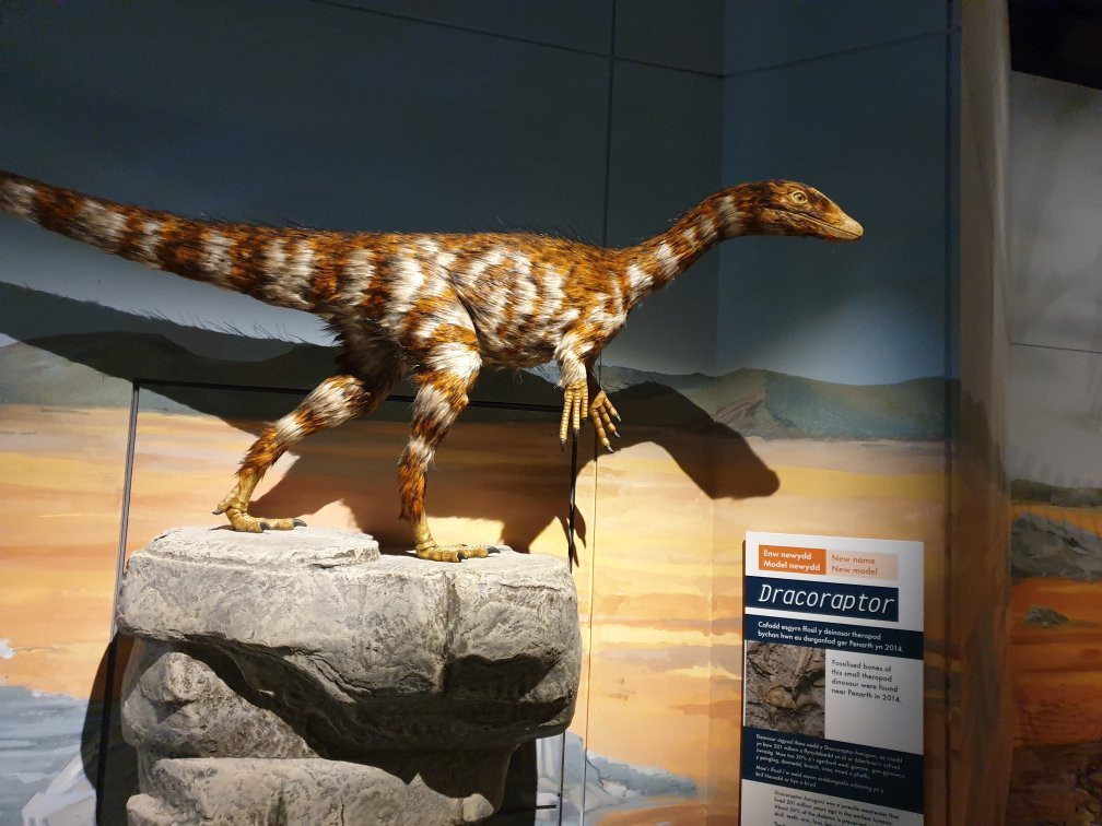 Porthcawl Museum景点图片