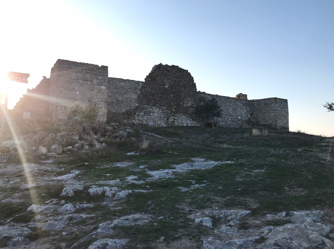 Enisala Medieval Fortress景点图片