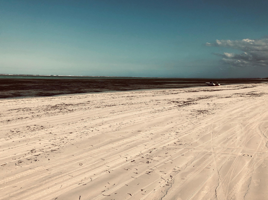 Swahili Family Tours-桑给巴尔岛必去景点