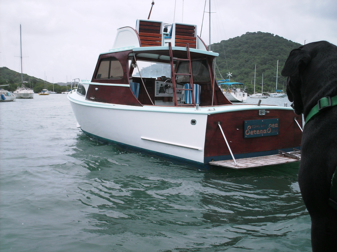 Serena Sea Charter Boat景点图片