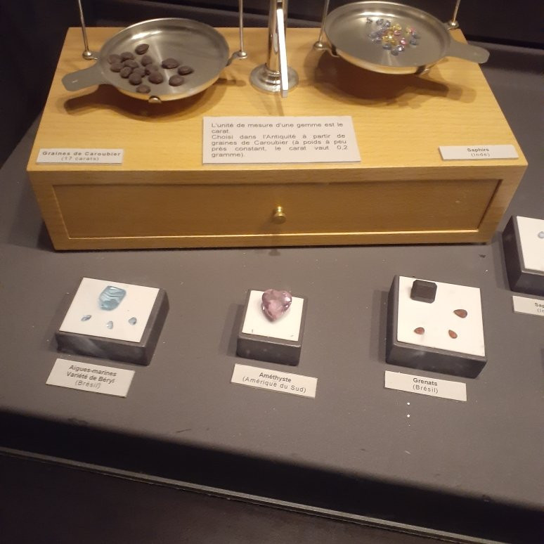 Planetarium Hubert Curien-第戎必去景点