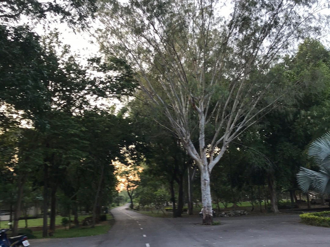 Cha-am Forest Park景点图片