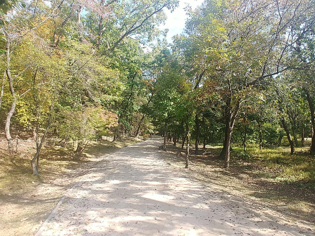 Samneung (Gongneung, Sulleung and Yeongneung)-坡州市必去景点