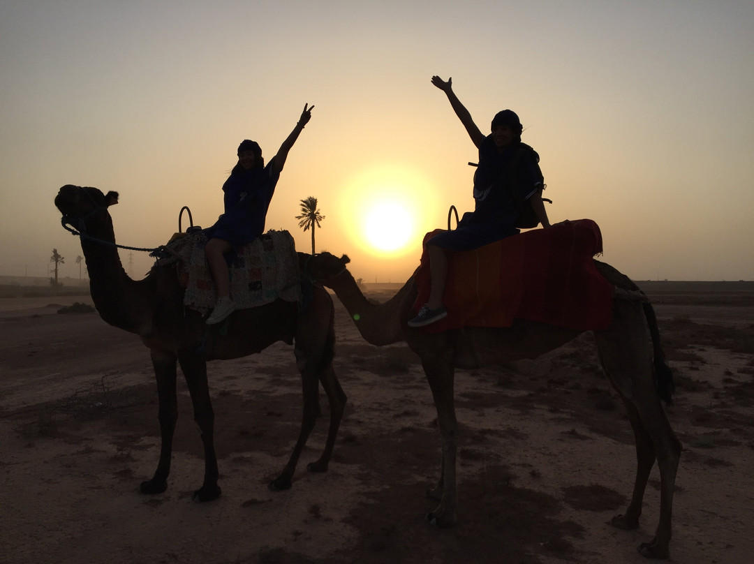 Marrakech Experiences Quad-马拉喀什必去景点