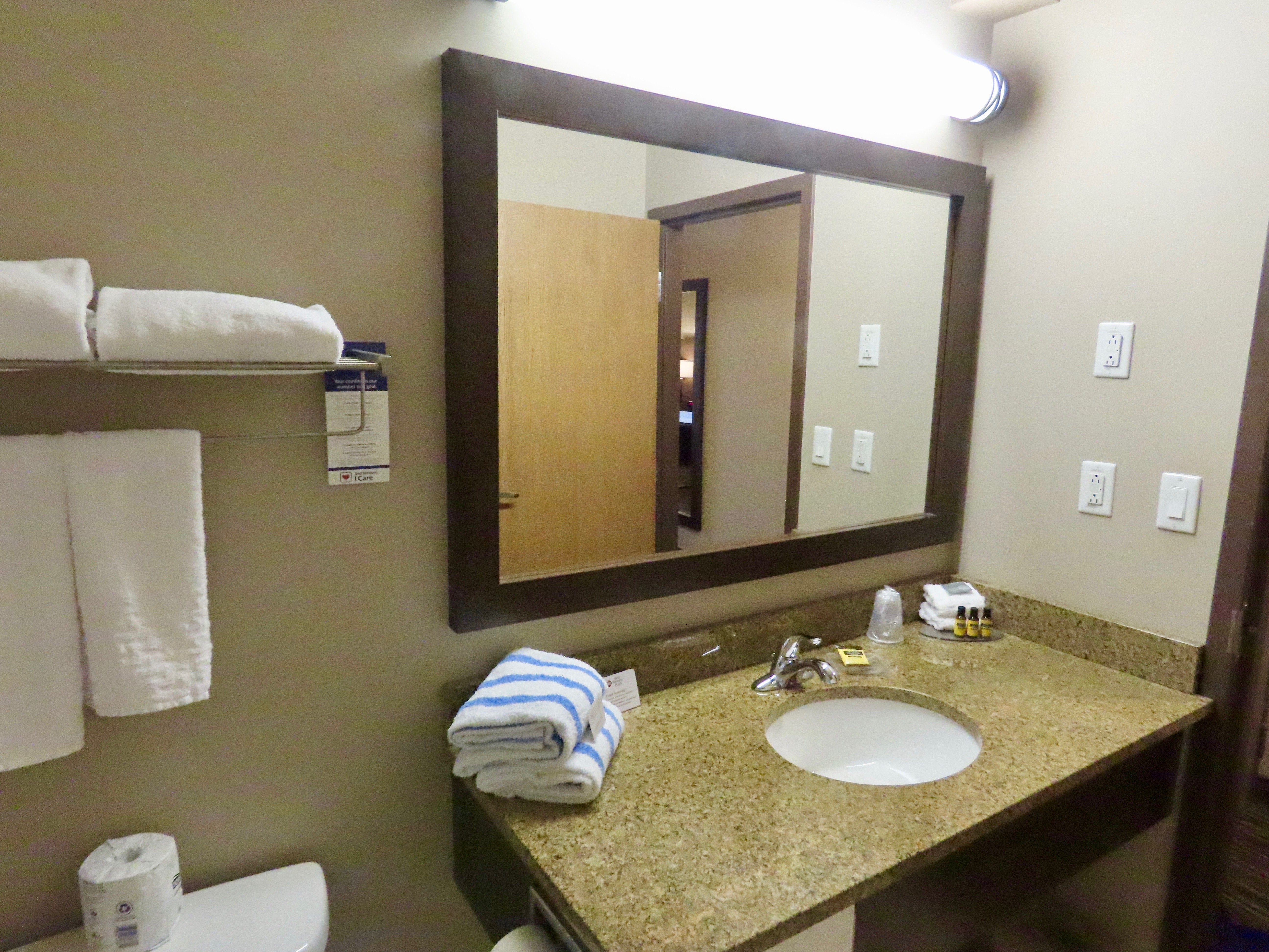 Best Western Plus Bridgewater Hotel & Convention Centre-浴室