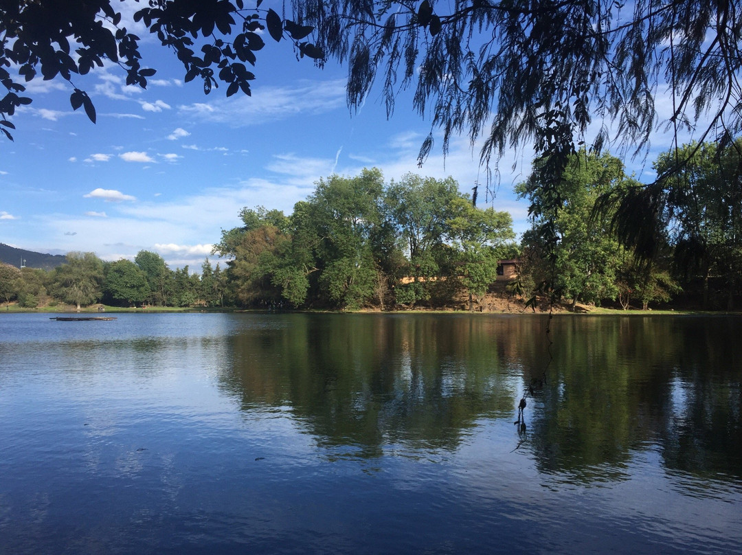 Presa Santa Catarina景点图片