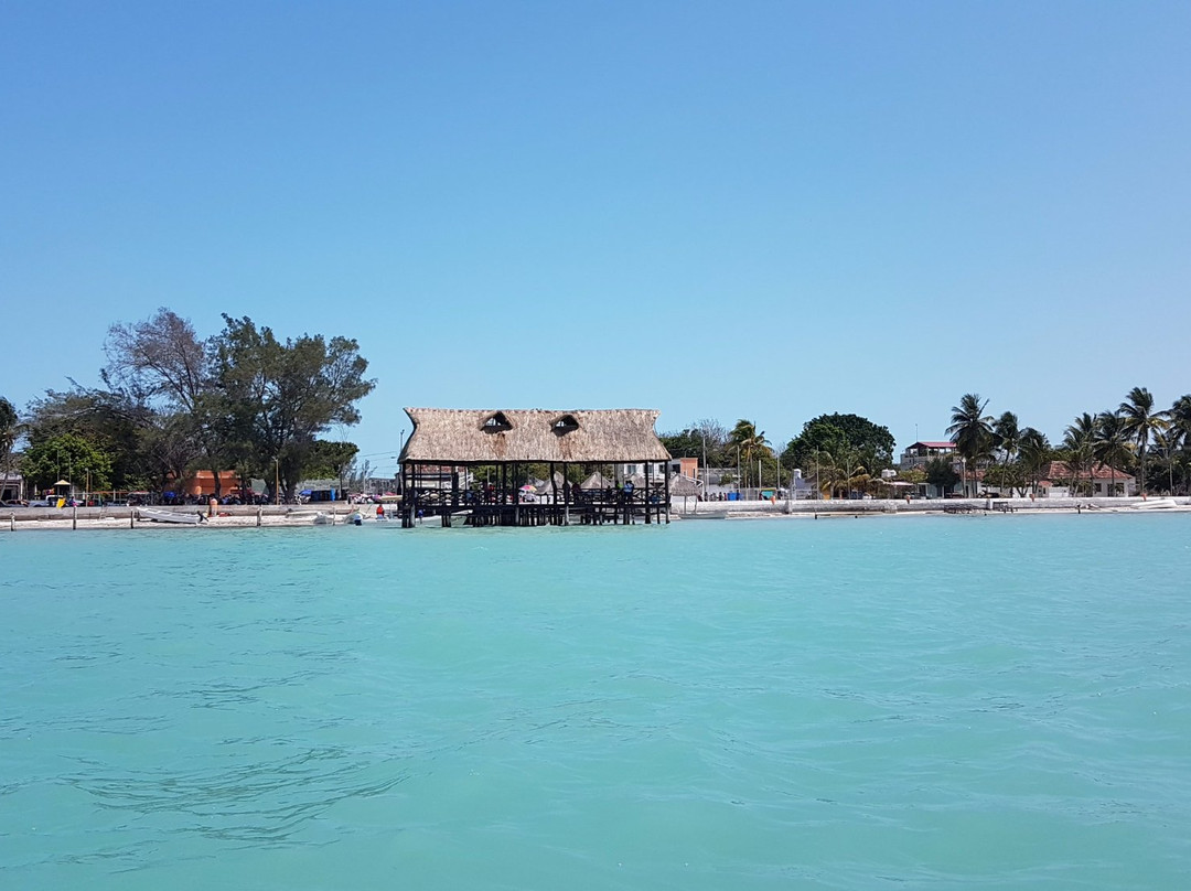 Agencia Palo de Tinte y Servicios