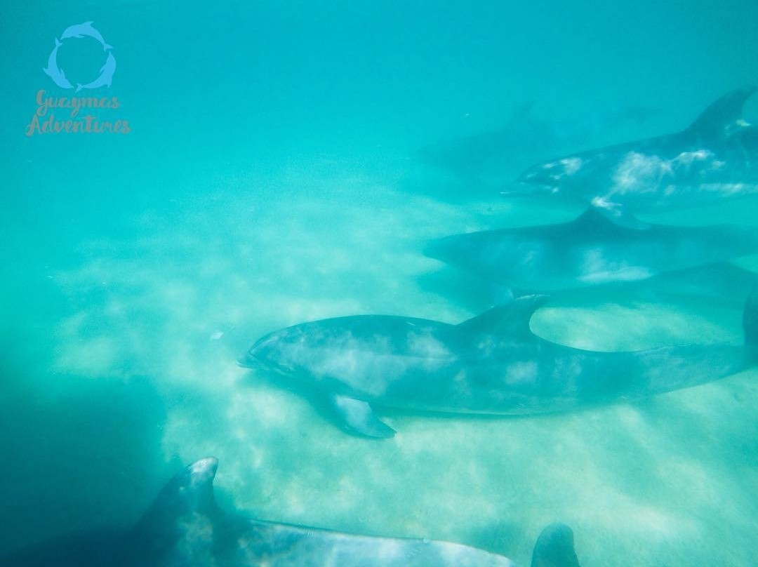 Guaymas Adventures-Guaymas必去景点