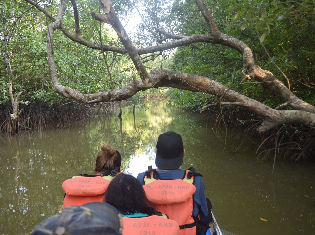 Mangrove Center Graha indah-巴厘巴板必去景点