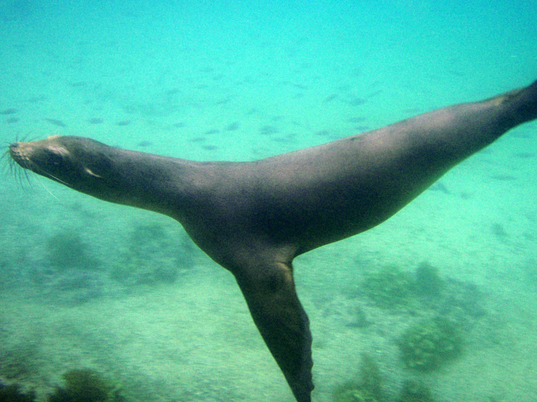 Dreamkapture Travel-Puerto Baquerizo Moreno必去景点